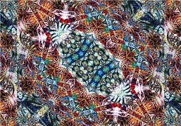 《部落冲突》开发商斥资6000万美元 收购Trailmix多数股权